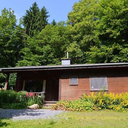 Detached Chalet In Lovely Hiking Region Bellevaux Kültér fotó